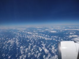 IMG_19.jpg